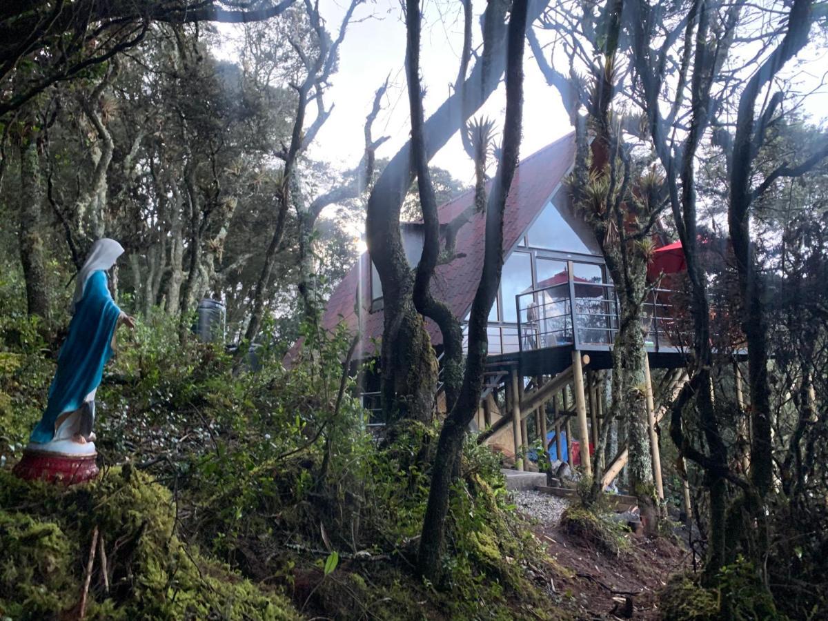 Mirador Bosque Gran Torino Neusa Cogua 外观 照片