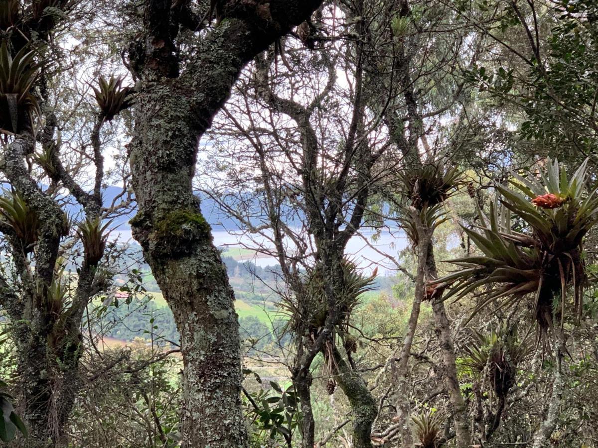 Mirador Bosque Gran Torino Neusa Cogua 外观 照片
