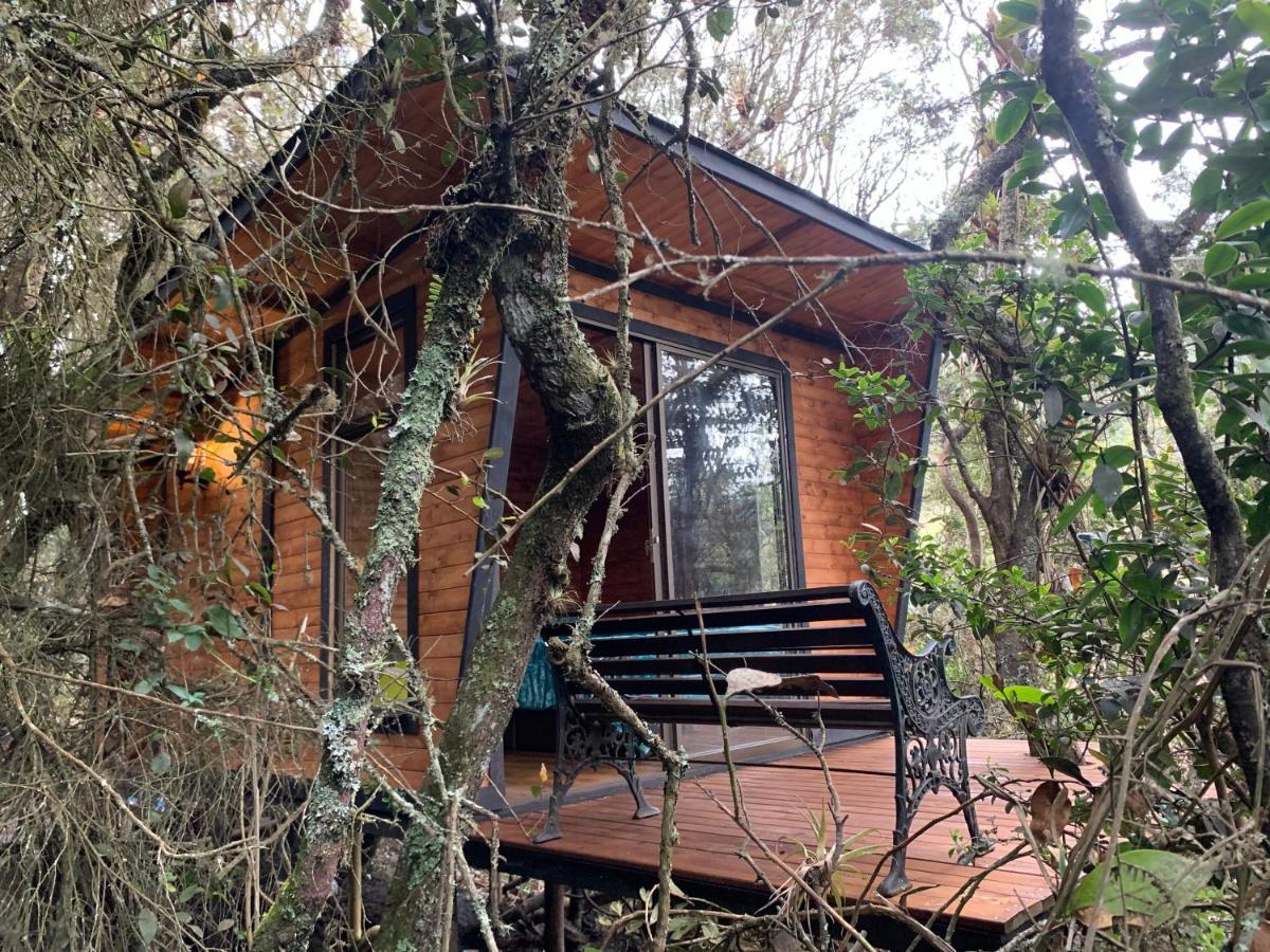 Mirador Bosque Gran Torino Neusa Cogua 外观 照片