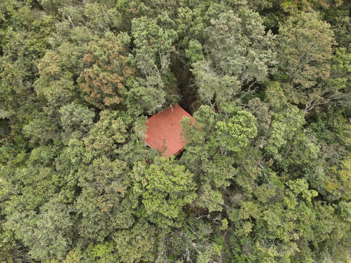 Mirador Bosque Gran Torino Neusa Cogua 外观 照片