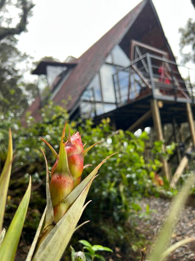 Mirador Bosque Gran Torino Neusa Cogua 外观 照片