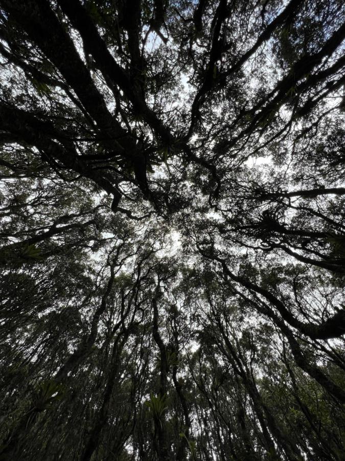 Mirador Bosque Gran Torino Neusa Cogua 外观 照片