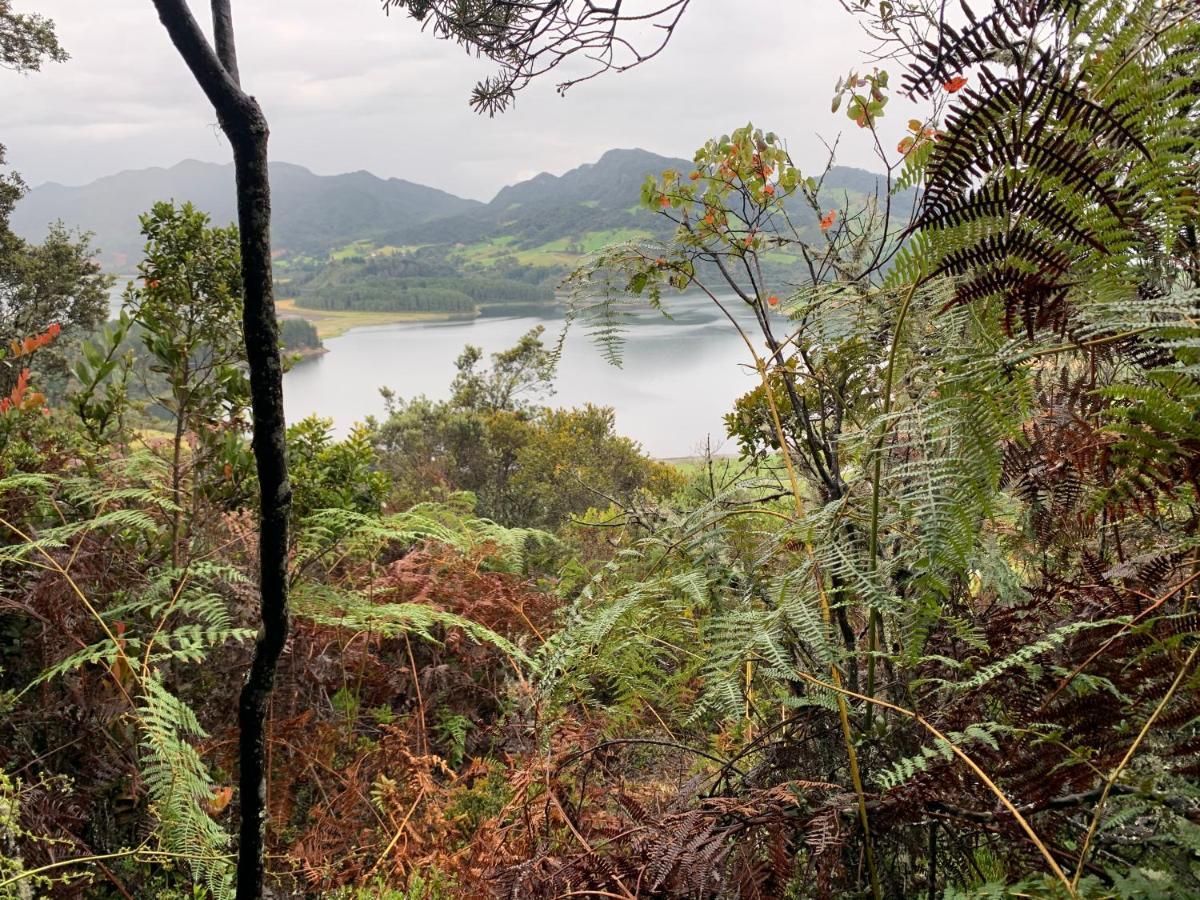 Mirador Bosque Gran Torino Neusa Cogua 外观 照片